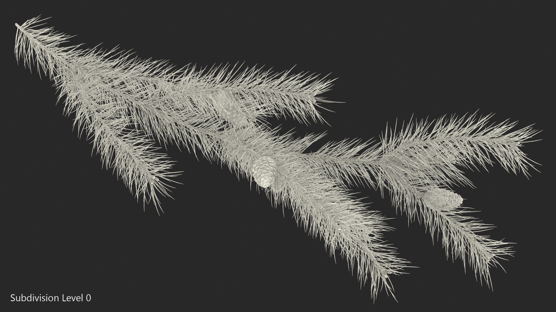 pine branch cones 3D model https://p.turbosquid.com/ts-thumb/qW/ZURBJu/njLXqb5E/pinebranchwithconesmb3dmodel014/jpg/1565597618/1920x1080/fit_q87/c27ad360bd3140bef33a799cf79ad5d04f19f744/pinebranchwithconesmb3dmodel014.jpg