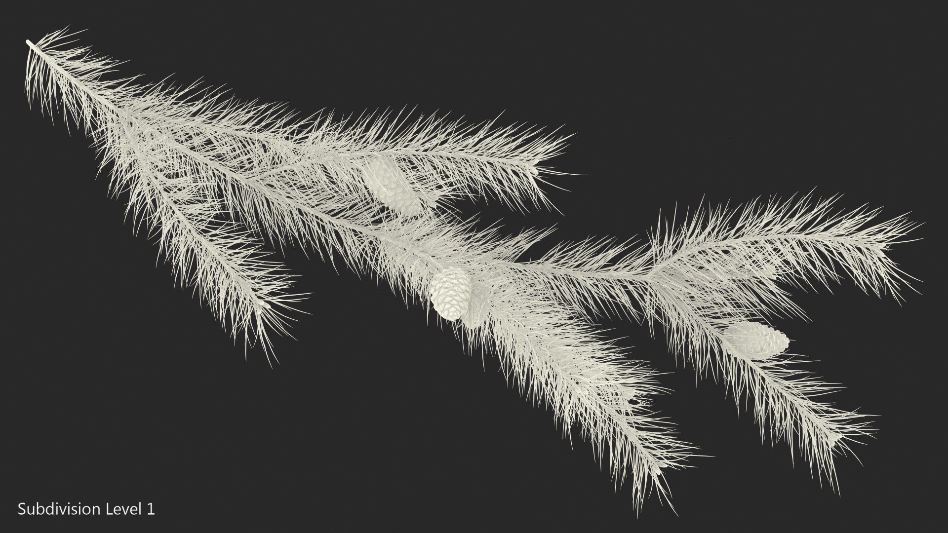 pine branch cones 3D model https://p.turbosquid.com/ts-thumb/qW/ZURBJu/vKOHnO3w/pinebranchwithconesmb3dmodel015/jpg/1565597622/1920x1080/fit_q87/78e443557d07a5a267e5bfca471c99d9456c487b/pinebranchwithconesmb3dmodel015.jpg