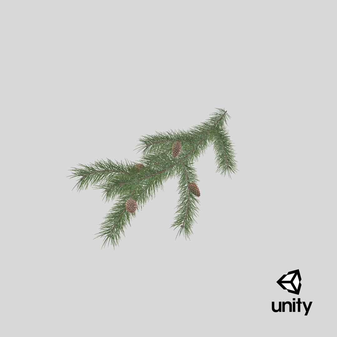 pine branch cones 3D model https://p.turbosquid.com/ts-thumb/qW/ZURBJu/wE/stemcell_unity_render/png/1648454105/1920x1080/fit_q87/3fd2c3755bac2401205d2d57c5c5b09bbf751fe3/stemcell_unity_render.jpg