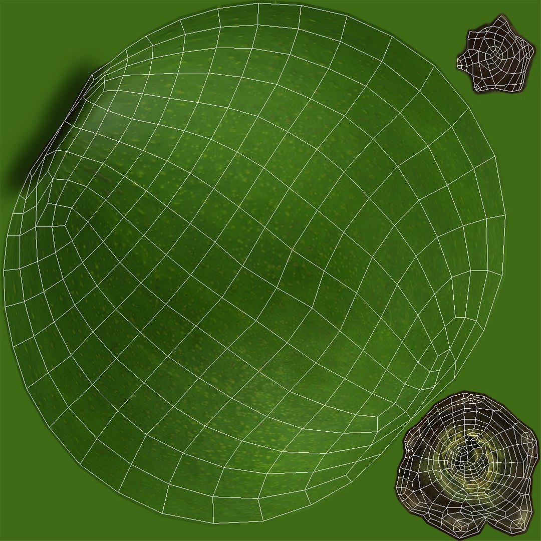 avocado realistic 3D model https://p.turbosquid.com/ts-thumb/qW/amoNa5/pKR4vC6O/wholeavocadovray3dmodel008/jpg/1498971743/1920x1080/fit_q87/05fdb7a300d5bc6666c4fc6ef576427f3a52b0c3/wholeavocadovray3dmodel008.jpg