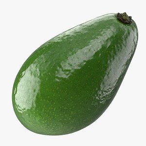 avocado realistic 3D model