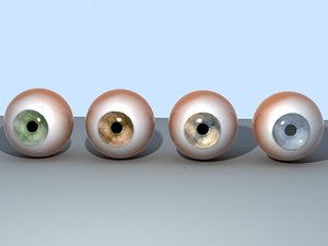 eyes pupil iris 3d max
