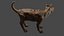 Cane come un mostro di fantasia
