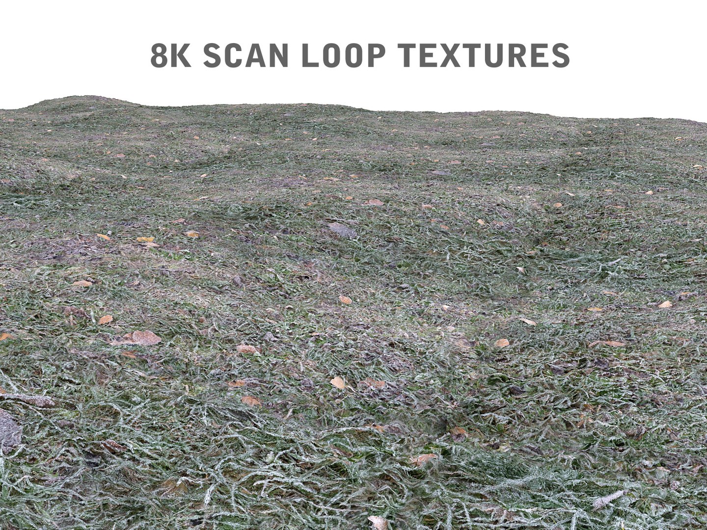Frozen Grass Lawn 16k 3d Model