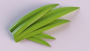 3D pandanus leaves trees