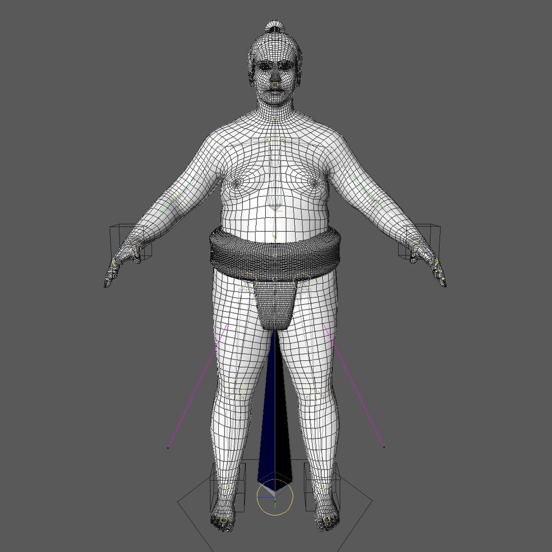 Realistically rigged sumo wrestler model - TurboSquid 1258083