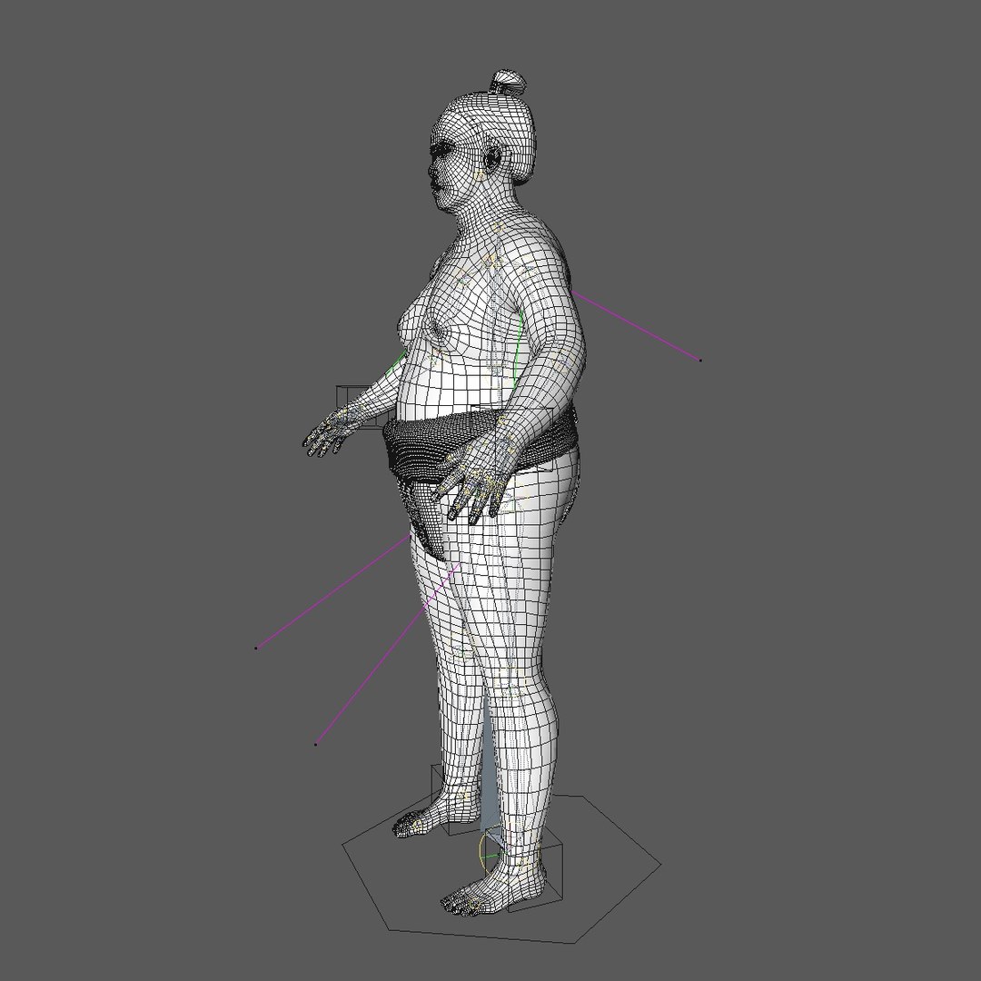Realistically rigged sumo wrestler model - TurboSquid 1258083