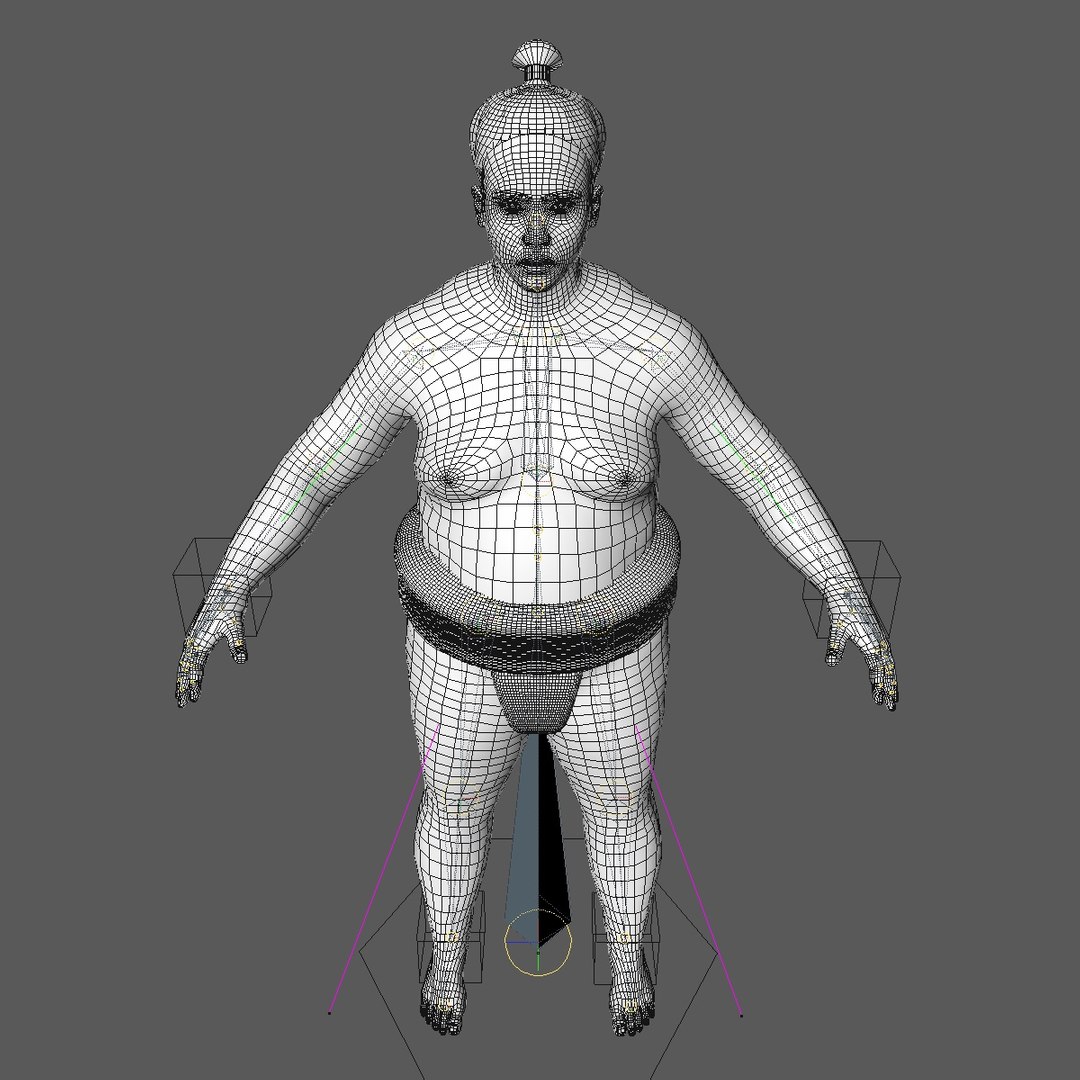 Realistically rigged sumo wrestler model - TurboSquid 1258083