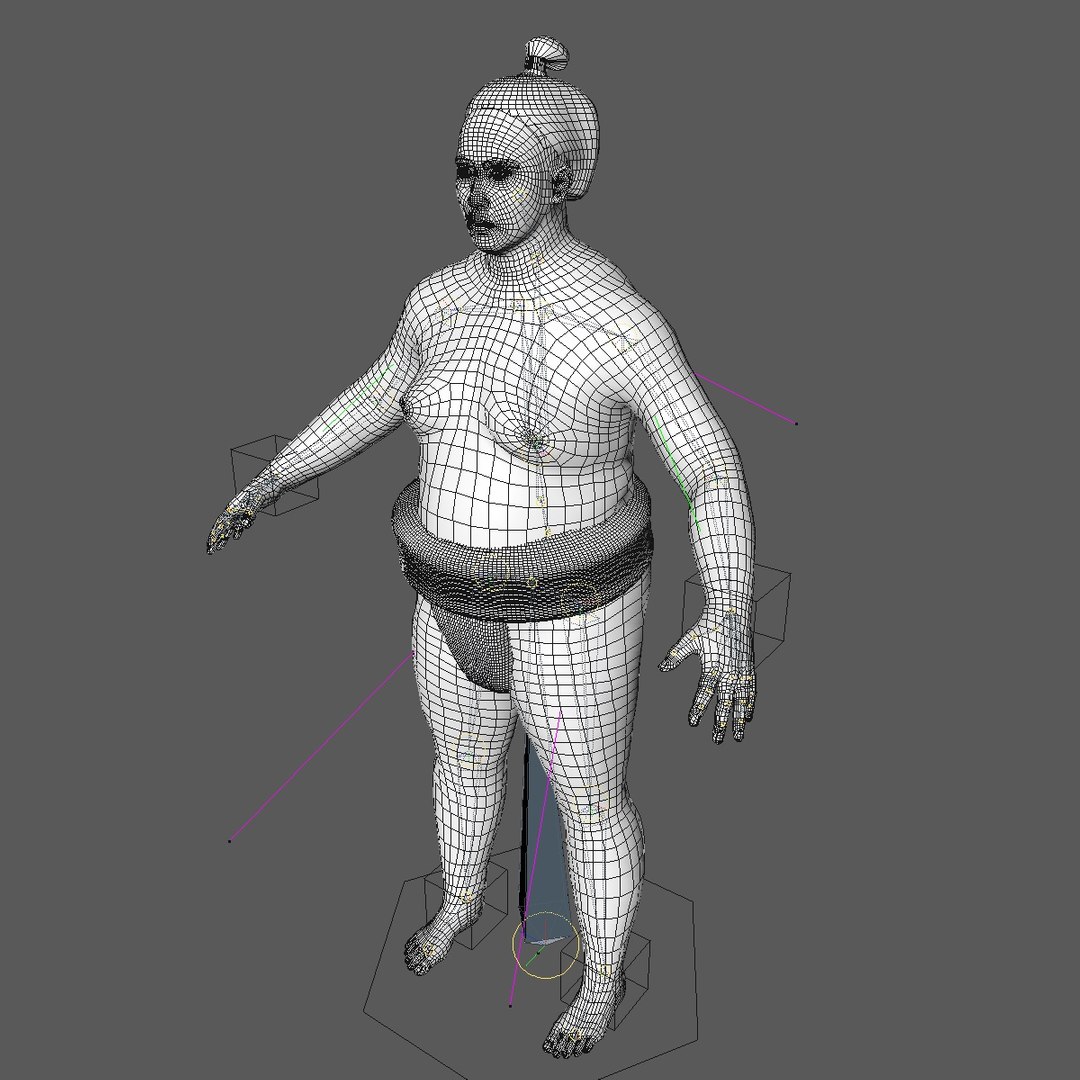 Realistically rigged sumo wrestler model - TurboSquid 1258083