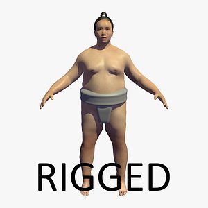 realistically rigged sumo wrestler model