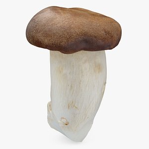 3D King Trumpet 02 model