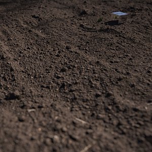 Ground
