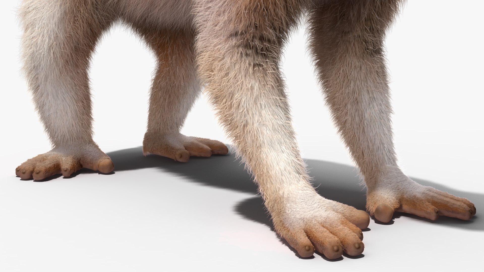 3D model Bengal Slow Loris Fur Rigged https://p.turbosquid.com/ts-thumb/qX/YP8nUh/2o/bengalslowlorisfurriggedvray3dmodel030/jpg/1698249820/1920x1080/fit_q87/576248a9708778698f456ebc38ba07ff9c4396a0/bengalslowlorisfurriggedvray3dmodel030.jpg