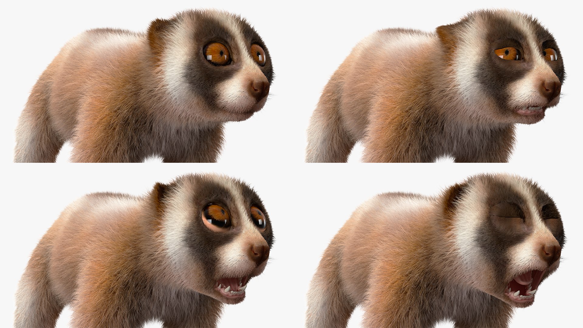 3D model Bengal Slow Loris Fur Rigged https://p.turbosquid.com/ts-thumb/qX/YP8nUh/4O/bengalslowlorisfurriggedvray3dmodel027/jpg/1698249804/1920x1080/fit_q87/25132a1538cd3c85c09825ef52df12d325654fbe/bengalslowlorisfurriggedvray3dmodel027.jpg