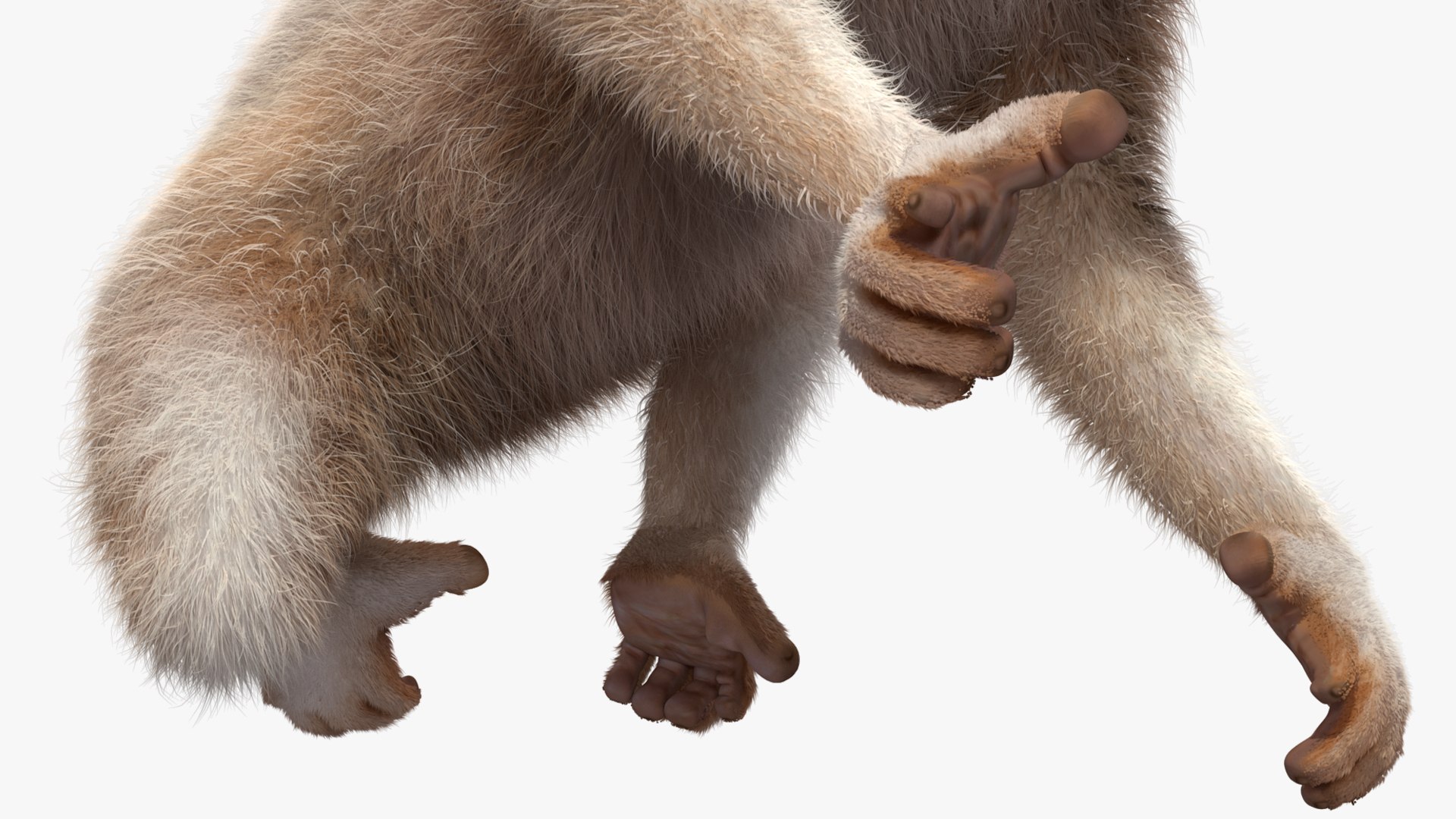 3D model Bengal Slow Loris Fur Rigged https://p.turbosquid.com/ts-thumb/qX/YP8nUh/7H/bengalslowlorisfurriggedvray3dmodel031/jpg/1698249824/1920x1080/fit_q87/c60e2ab2dba5c6beeac5a83c777f099a4e3e854a/bengalslowlorisfurriggedvray3dmodel031.jpg