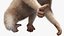 Bengal Slow Loris Fur Rigged