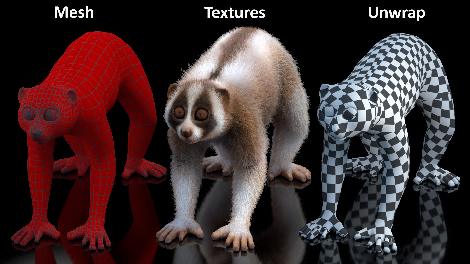 3D model Bengal Slow Loris Fur Rigged https://p.turbosquid.com/ts-thumb/qX/YP8nUh/9v/bengalslowlorisfurriggedvray3dmodel034/jpg/1698249839/1920x1080/fit_q87/4b7e500d1e3a686f254060e1dc2b989578a3023e/bengalslowlorisfurriggedvray3dmodel034.jpg