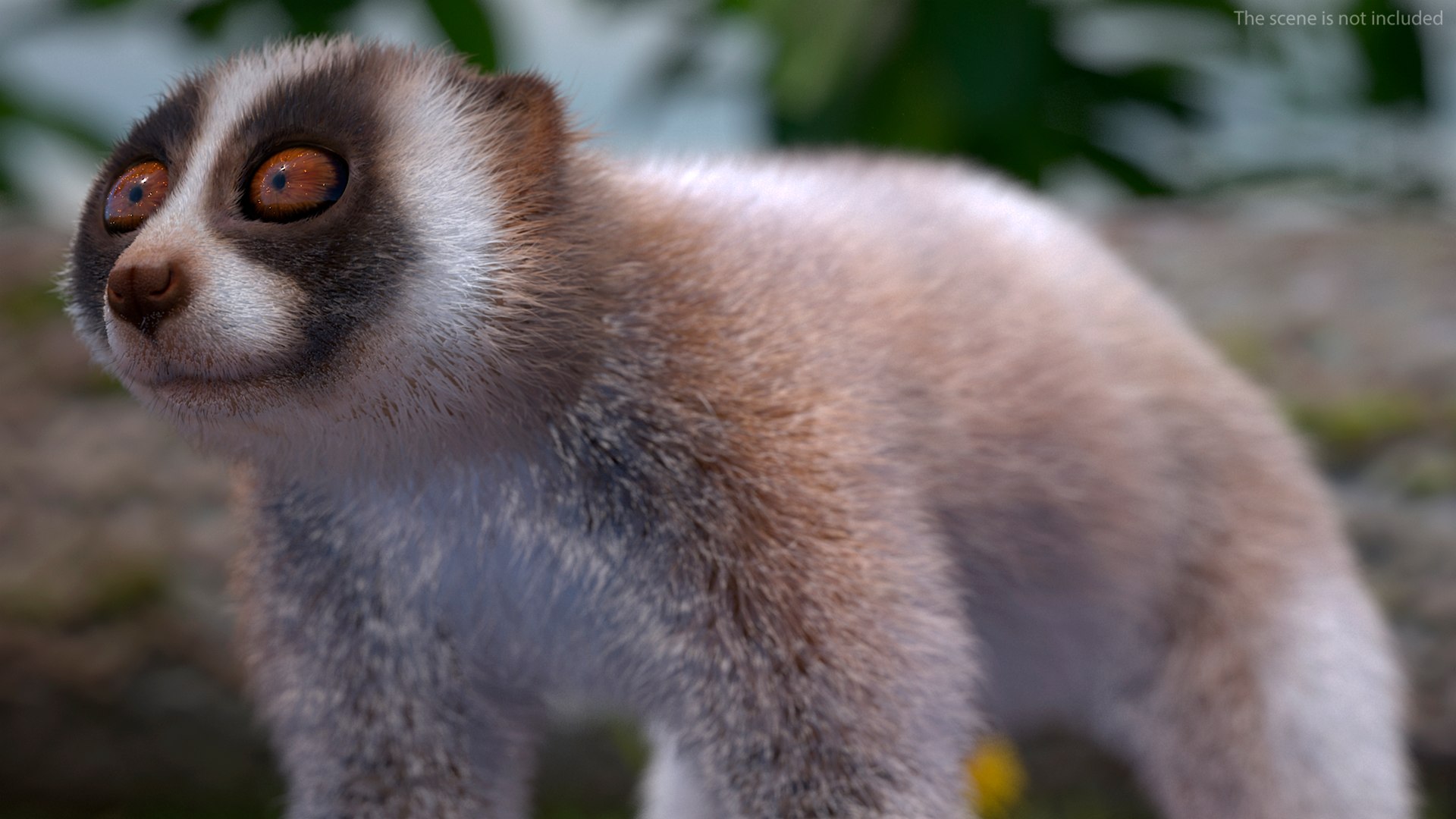 3D model Bengal Slow Loris Fur Rigged https://p.turbosquid.com/ts-thumb/qX/YP8nUh/PE/bengalslowlorisfurriggedvray3dmodel010/jpg/1698249717/1920x1080/fit_q87/513e48f658dd35befae9e82c5dc08ba5e752270a/bengalslowlorisfurriggedvray3dmodel010.jpg