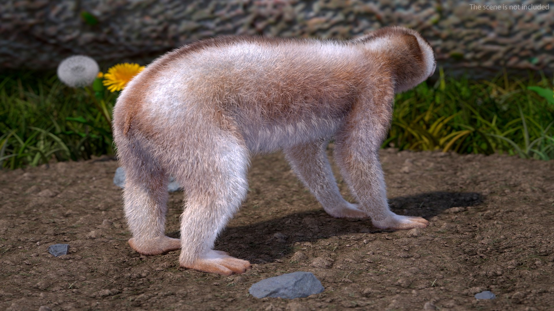 3D model Bengal Slow Loris Fur Rigged https://p.turbosquid.com/ts-thumb/qX/YP8nUh/YW/bengalslowlorisfurriggedvray3dmodel004/jpg/1698249684/1920x1080/fit_q87/eafa53be56bfdc631ab7830b44bcae62162d24f5/bengalslowlorisfurriggedvray3dmodel004.jpg