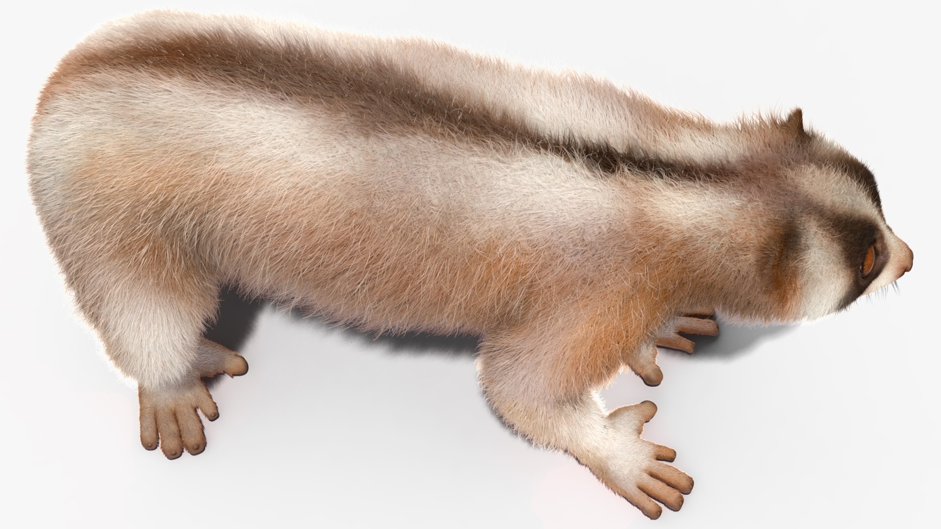 3D model Bengal Slow Loris Fur Rigged https://p.turbosquid.com/ts-thumb/qX/YP8nUh/b0/bengalslowlorisfurriggedvray3dmodel023/jpg/1698249785/1920x1080/fit_q87/623f57aa63f04fabbf3523f8f4736f562f4b2c73/bengalslowlorisfurriggedvray3dmodel023.jpg