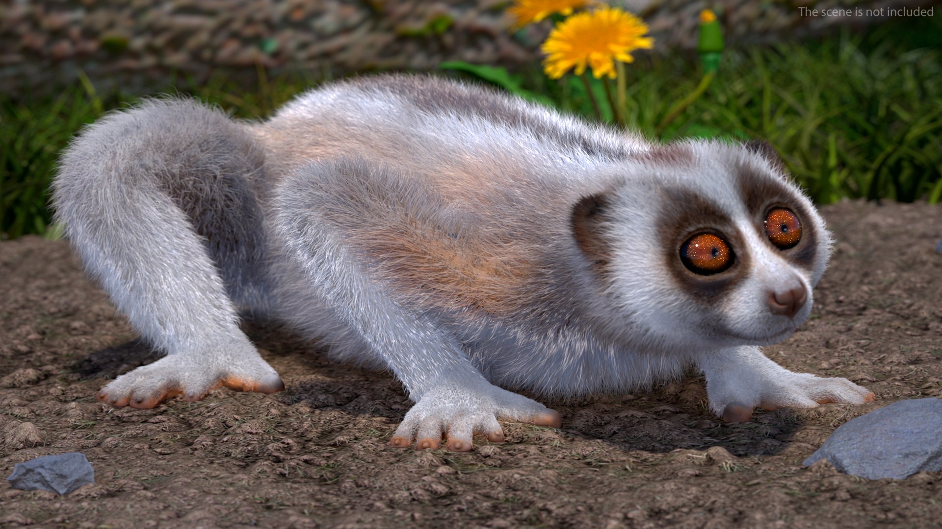 3D model Bengal Slow Loris Fur Rigged https://p.turbosquid.com/ts-thumb/qX/YP8nUh/bF/bengalslowlorisfurriggedvray3dmodel003/jpg/1698249678/1920x1080/fit_q87/4506c83e12a986d5ebf389987fe22c2973cebfc6/bengalslowlorisfurriggedvray3dmodel003.jpg