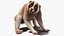 Bengal Slow Loris Fur Rigged
