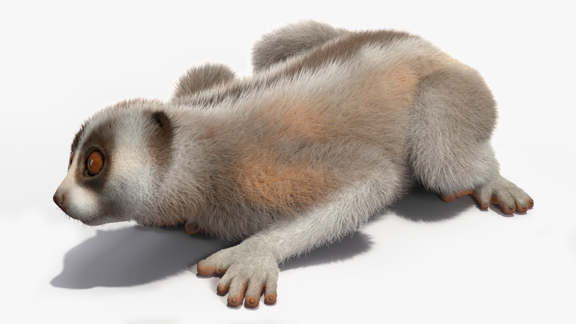 3D model Bengal Slow Loris Fur Rigged https://p.turbosquid.com/ts-thumb/qX/YP8nUh/wn/bengalslowlorisfurriggedvray3dmodel016/jpg/1698249746/1920x1080/fit_q87/7289c9340e0dd5726eaf74244f3bdeddc04a7738/bengalslowlorisfurriggedvray3dmodel016.jpg