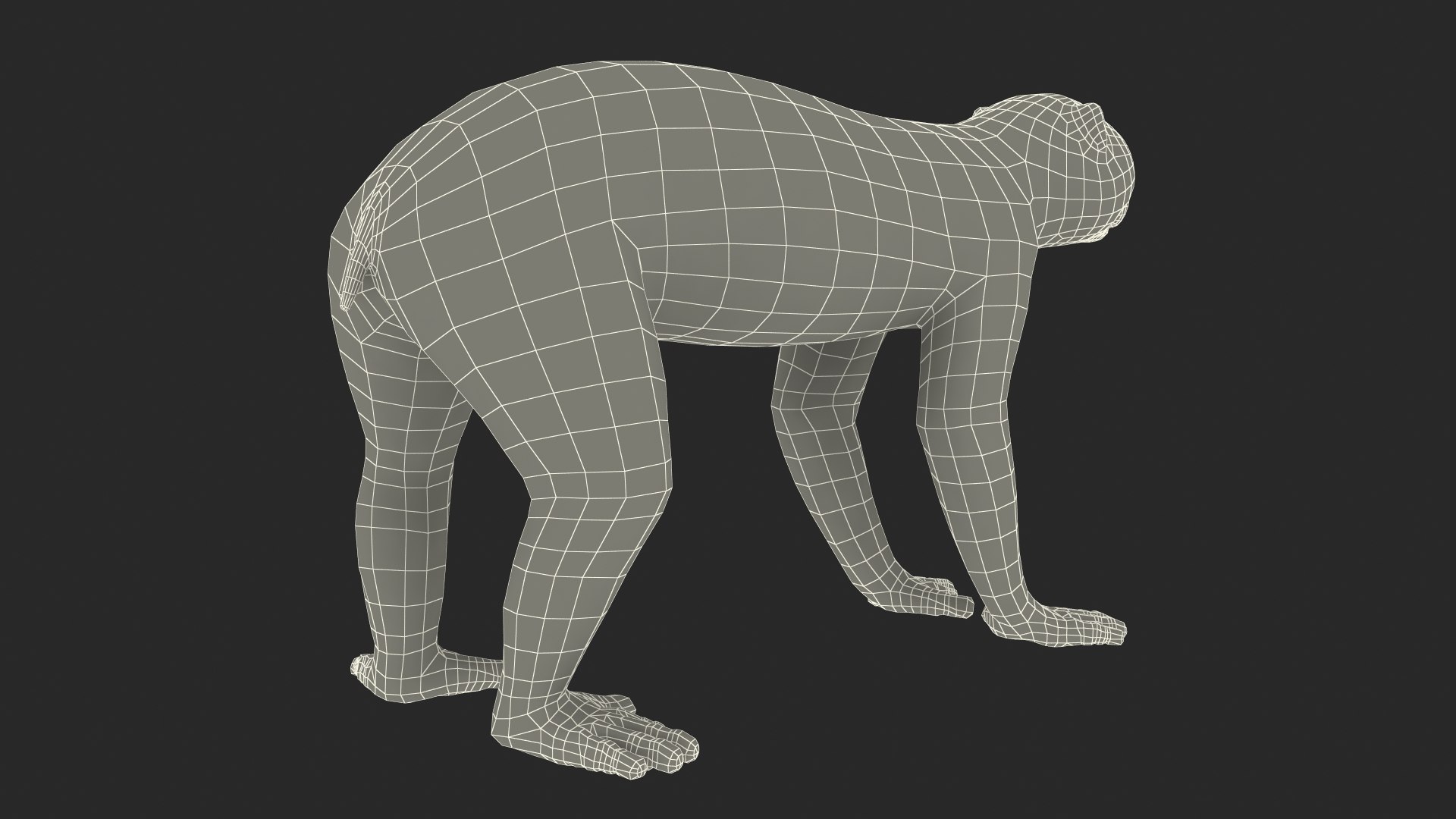 3D model Bengal Slow Loris Fur Rigged https://p.turbosquid.com/ts-thumb/qX/YP8nUh/yk/bengalslowlorisfurriggedvray3dmodel039/jpg/1698249865/1920x1080/fit_q87/fd7dfedac7ecb1a5d40332dd17f5e8dd7c4742de/bengalslowlorisfurriggedvray3dmodel039.jpg