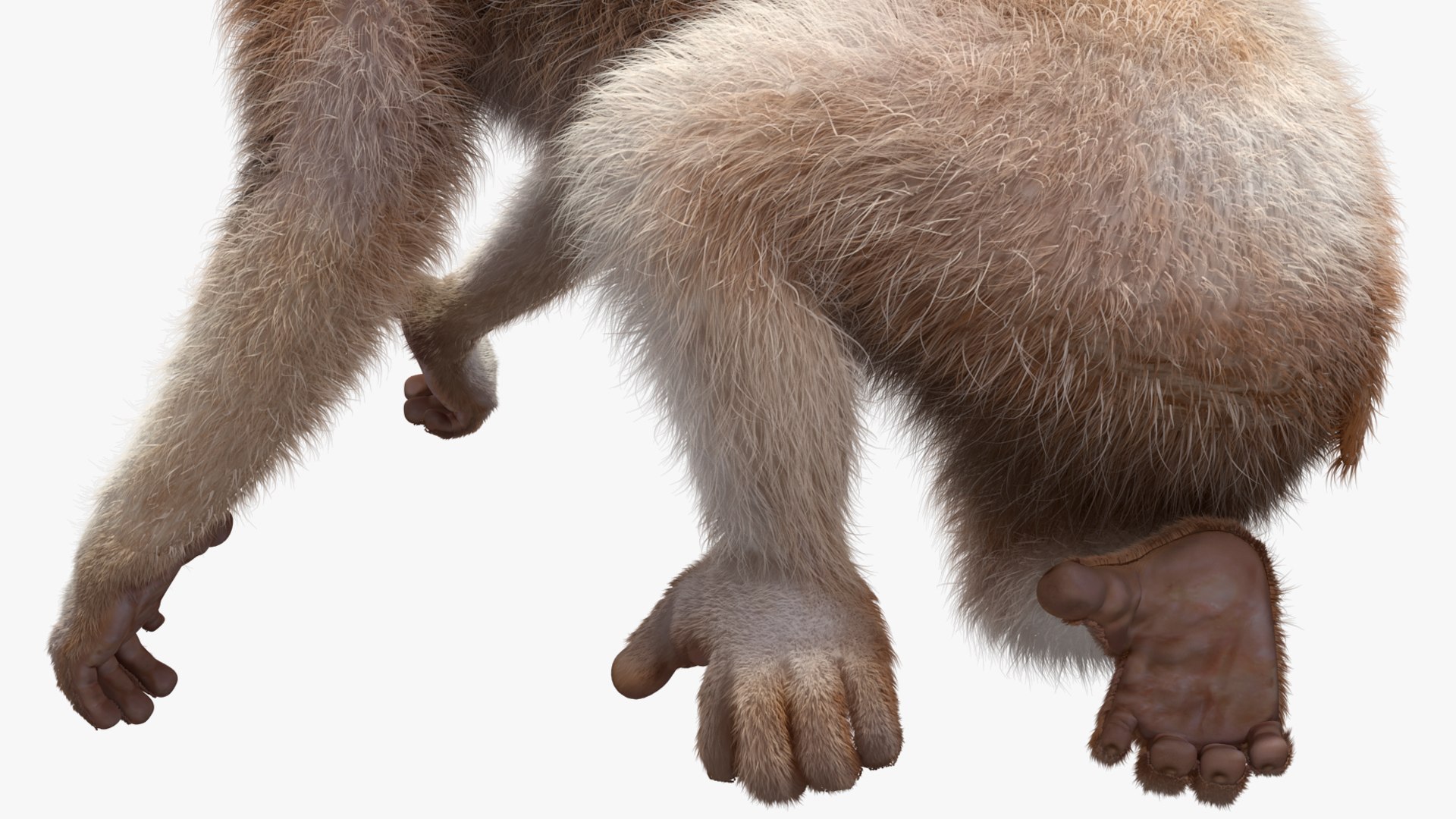 3D model Bengal Slow Loris Fur Rigged https://p.turbosquid.com/ts-thumb/qX/YP8nUh/zp/bengalslowlorisfurriggedvray3dmodel032/jpg/1698249829/1920x1080/fit_q87/a0bdbc8d074d79a5a9afca987f571bdbd7e82fdc/bengalslowlorisfurriggedvray3dmodel032.jpg