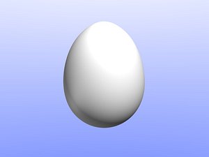 Egg
