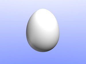 Egg