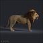 Lion (FUR)