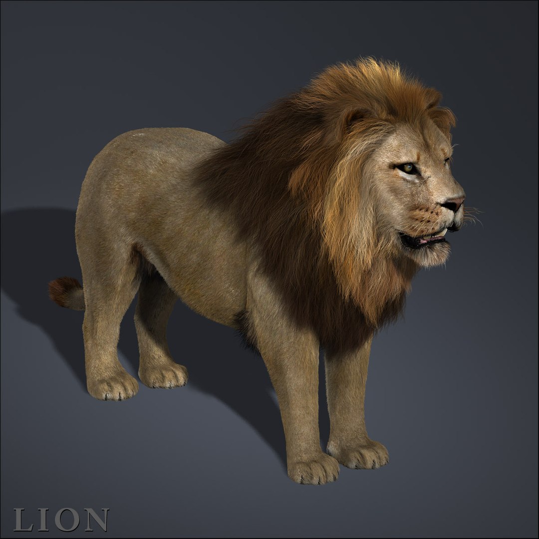 3ds max cat feline https://p.turbosquid.com/ts-thumb/qX/gHJ8A6/NFTRF7im/hd2b/jpg/1297093031/1920x1080/fit_q87/678b1265218f6ff240d0217ba93272198c1812b9/hd2b.jpg