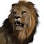 Lion (FUR)