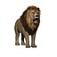 Lion (FUR)