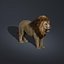 Lion (FUR)