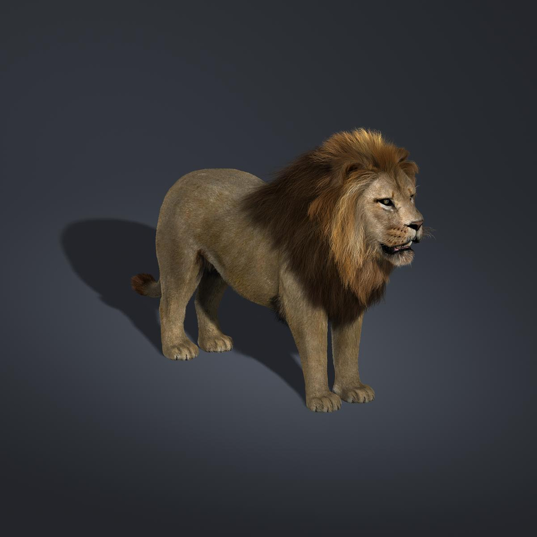 3ds max cat feline https://p.turbosquid.com/ts-thumb/qX/gHJ8A6/VBJgjMI3/turn/jpg/1297149622/1920x1080/turn_fit_q99/9e4dd63b1006357126521590f389f9c1f70852e3/turn-1.jpg