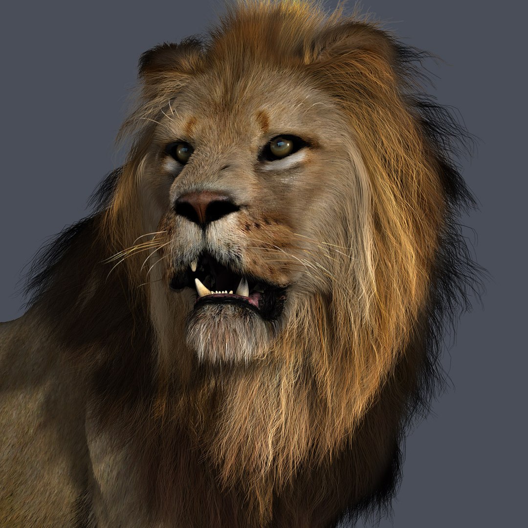 3ds max cat feline https://p.turbosquid.com/ts-thumb/qX/gHJ8A6/g6vc8YpQ/hd00c/jpg/1297097924/1920x1080/fit_q87/3a1cdeb967e6e8de38a5d7d62533088d0aea6e22/hd00c.jpg
