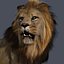 Lion (FUR)