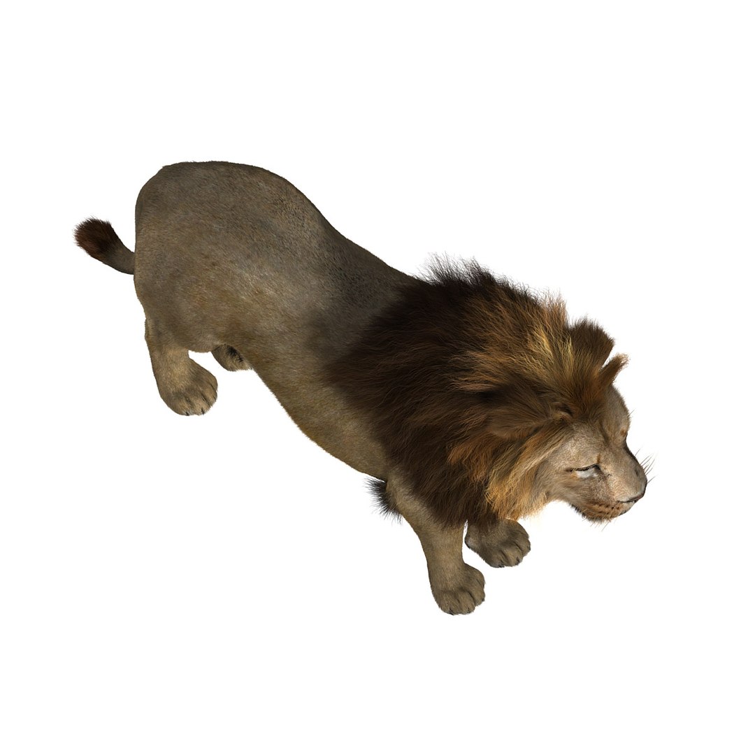 3ds max cat feline https://p.turbosquid.com/ts-thumb/qX/gHJ8A6/jfQpppW7/hd3/jpg/1297093031/1920x1080/fit_q87/68e715ff445da3413c55b05f49ebe485e50cb841/hd3.jpg