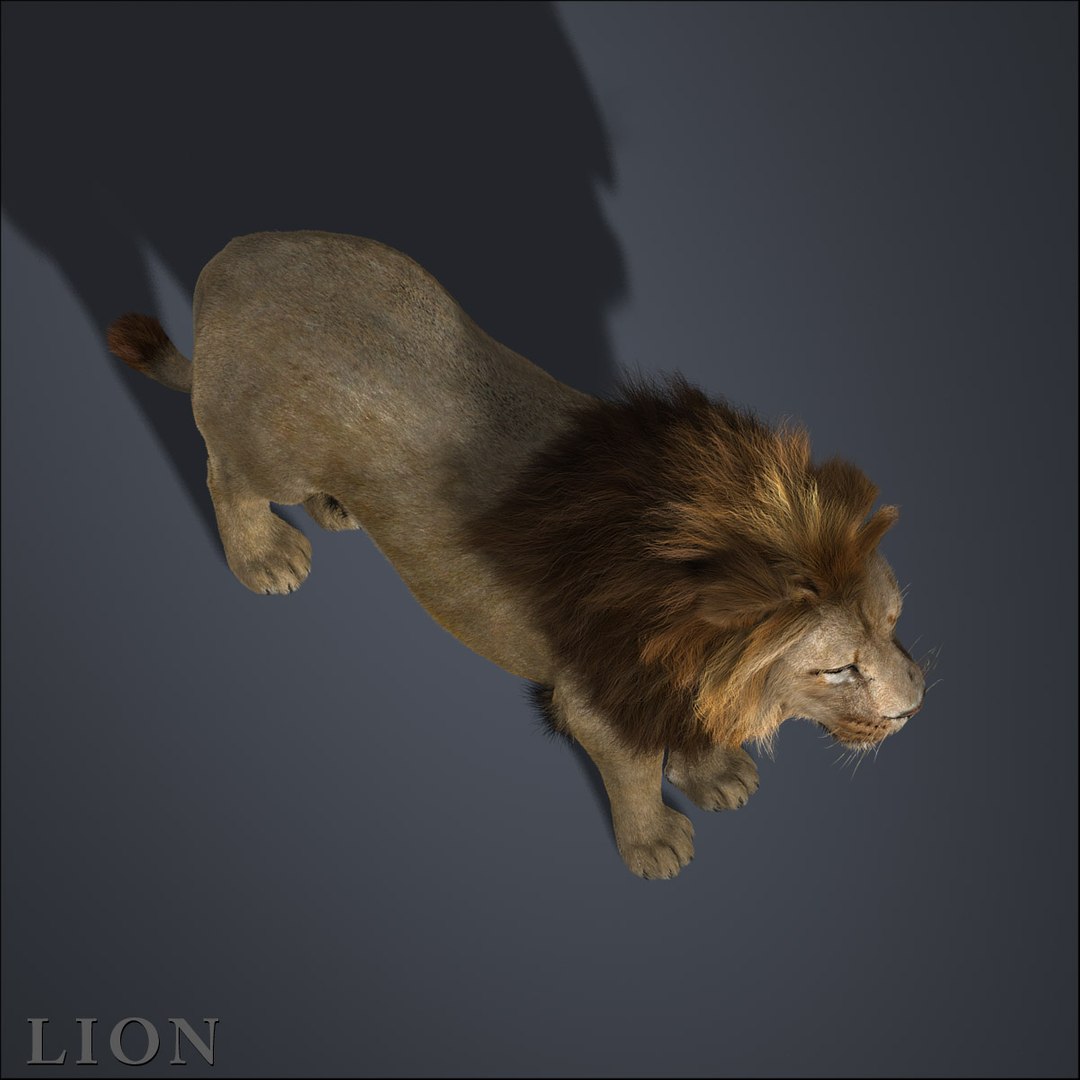 3ds max cat feline https://p.turbosquid.com/ts-thumb/qX/gHJ8A6/lLxfa6oz/hd3b/jpg/1297093031/1920x1080/fit_q87/b71290dff5204ddad54d0eee57fba5494f6e4203/hd3b.jpg