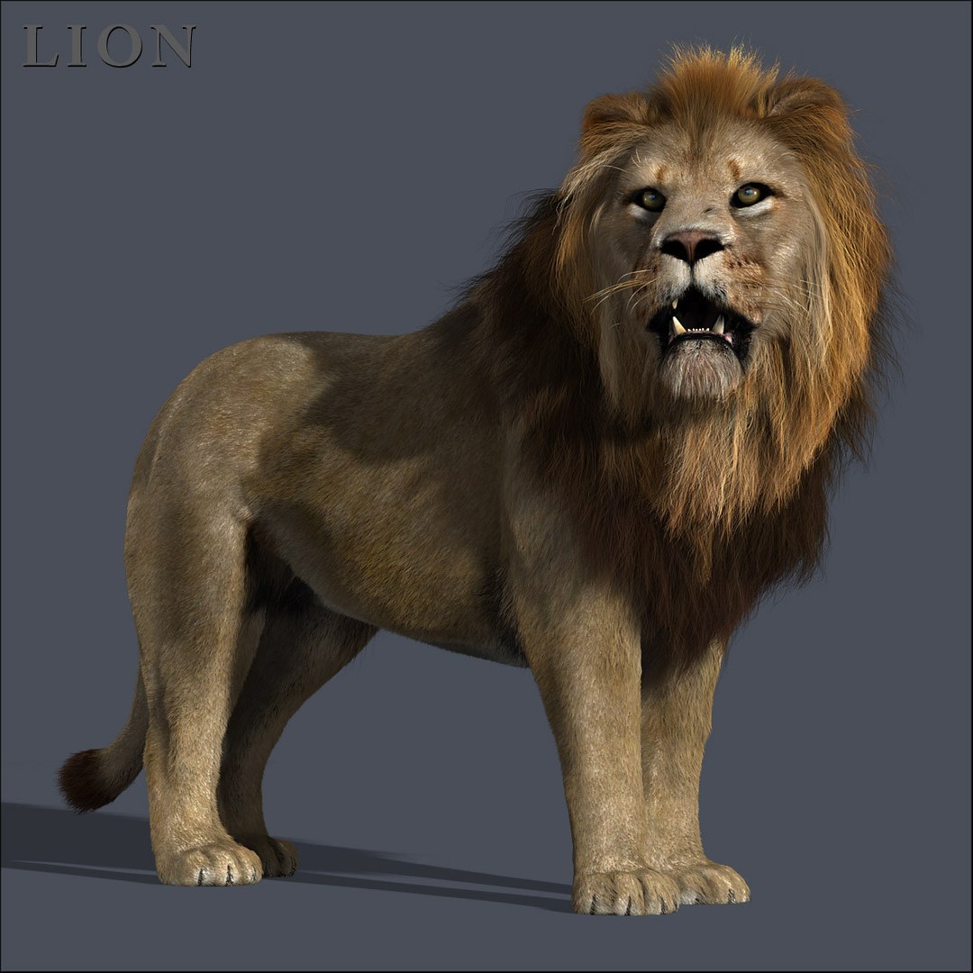 3ds max cat feline https://p.turbosquid.com/ts-thumb/qX/gHJ8A6/vaptg1m0/hd00b.jpgacbccd452f8049b4bef1b8d70b11502dhd/jpg/1318007041/1920x1080/fit_q87/5896672332c7c548d762e9131b44242e7aae160a/hd00b.jpgacbccd452f8049b4bef1b8d70b11502dhd.jpg