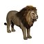 Lion (FUR)