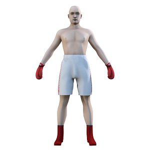 3dsmax rigged boxing