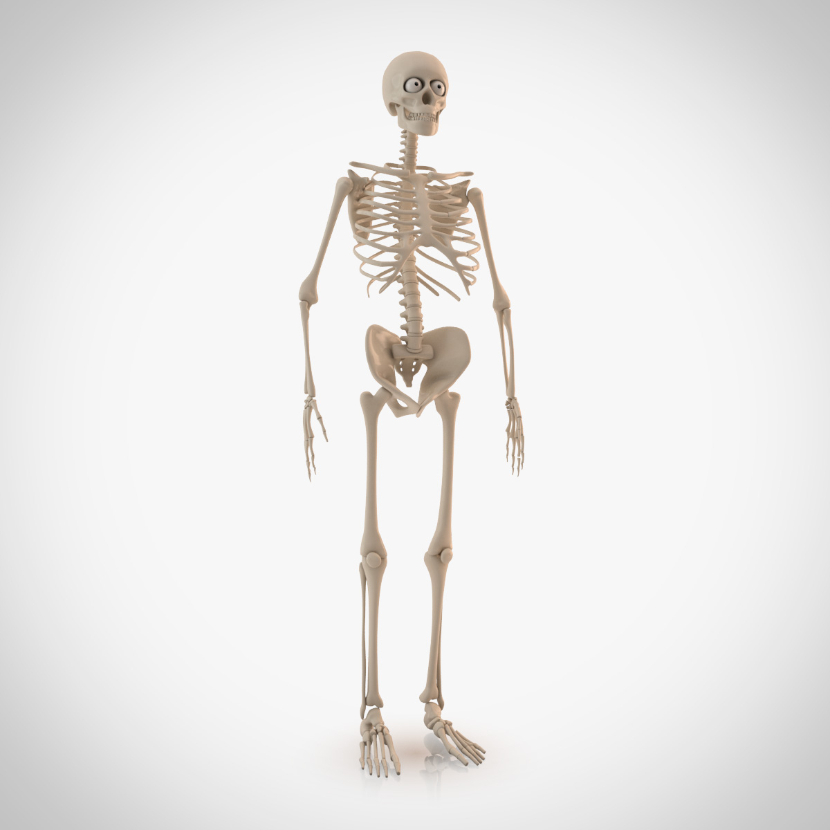 max cartoon skeleton rigged