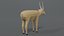 saiga antelope 3D model