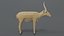 saiga antelope 3D model