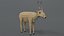 saiga antelope 3D model