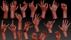 3D 16 Posed Male Hand Scans