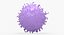 Solid Stem Cell
